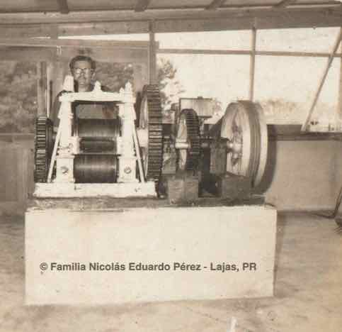 Pancho Pérez en su trapiche