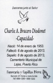 bracero-diodonet-charlie.jpg