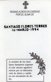 flores-torres-santiago.jpg