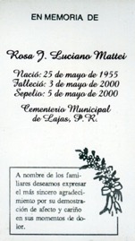 luciano-mattei-rosa-j.jpg