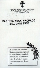 machado-candida-rosa.jpg