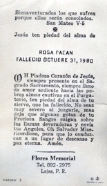 pagan-rosado-doris.jpg