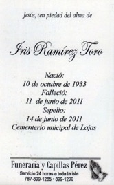 ramirez-toro-iris.jpg