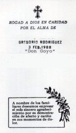 rodriguez-guillermina.jpg