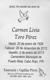 toro-perez-carmen-rosa.jpg